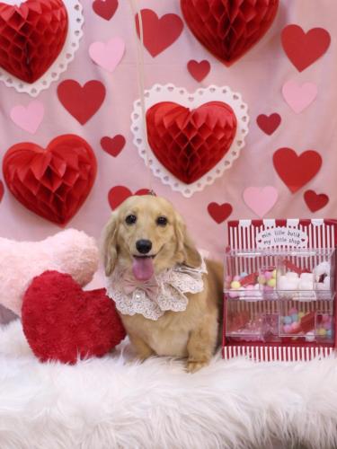 20240228こなつちゃん